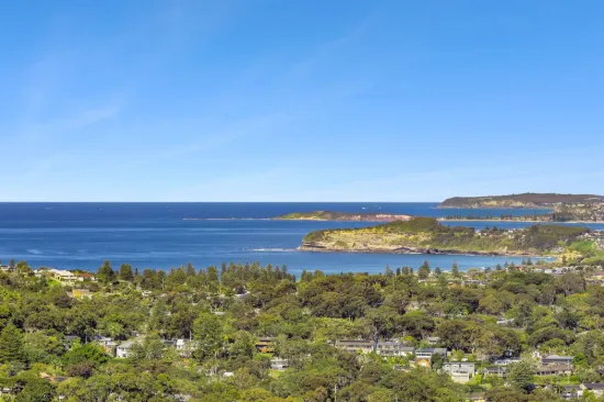 38 Cheryl Crescent, Newport, NSW 2106