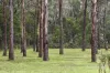 38 Coliban Drive, Lyonville, Vic 3461-Image