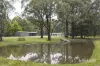 38 Coliban Drive, Lyonville, Vic 3461-Image