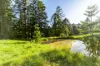 38 Collard Road, Mooloo, Qld 4570-Image