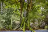 38 Curtawilla Street, Banora Point, NSW 2486-Image