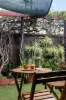 38 Dukes Lane, Adelaide, SA 5000-Image