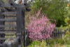 38 Evans Street, Mittagong, NSW 2575-Image