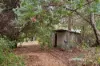 38 Evans Street, Mount Helena, WA 6082-Image