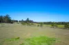 38 Florence Street, Greta, NSW 2334-Image