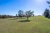 38 Florence Street, Greta, NSW 2334-Image