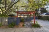 38 Fuchsia Street, Blackburn, Vic 3130-Image
