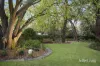 38 Fuchsia Street, Blackburn, Vic 3130-Image