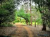 38 Greenwood Road, Nannup, WA 6275