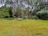 38 Greenwood Road, Nannup, WA 6275-Image
