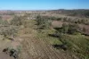 38 HALL ROAD, Forest Springs, Qld 4362-Image