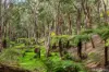 38 Heath Road, Chum Creek, Vic 3777-Image