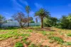 38 Jackson Avenue, Whyalla Norrie, SA 5608-Image