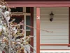 38 King Edward Street, Penguin, Tas 7316-Image