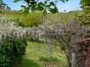 38 King Edward Street, Penguin, Tas 7316-Image