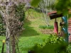 38 King Edward Street, Penguin, Tas 7316-Image