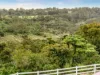 38 Kondalilla Falls Road, Montville, Qld 4560-Image