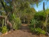 38 Lawrence Street, Marburg, Qld 4346-Image