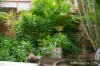 38 Mackillop Drive, Baulkham Hills, NSW 2153-Image