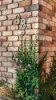 38 Marril Circuit, Cordeaux Heights NSW 2526-Image