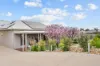 38 McLean Street, Berri SA 5343-Image