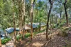 38 Mitchells Pass, Blaxland NSW 2774-Image