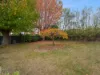 38 Oaktree Road, Youngtown, Tas 7249-Image