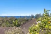38 Ocean Street, South West Rocks, NSW 2431-Image