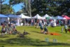 38 Pilot Street, Urunga, NSW 2455-Image