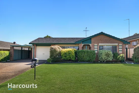 38 Pine Creek Circuit, St Clair, NSW 2759