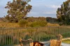 38 Pleasant Grove Circle, Falcon, WA 6210-Image