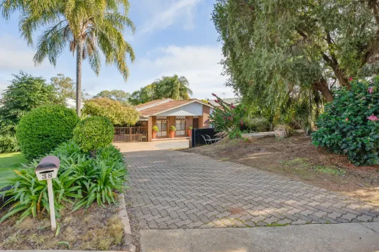 38 Riverview Drive, Dareton, NSW 2717