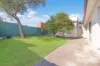 38 Robinson Street, Croydon, NSW 2132-Image