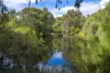38 Rosebery Street, Jolimont, WA 6014-Image
