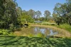 38 Seib Road, Eumundi, Qld 4562-Image