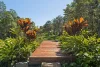 38 Seib Road, Eumundi, Qld 4562-Image