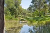 38 Seib Road, Eumundi, Qld 4562-Image