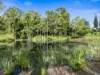 38 Seib Road, Eumundi, Qld 4562-Image