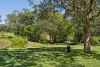 38 Seib Road, Eumundi, Qld 4562-Image