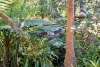 38 Seib Road, Eumundi, Qld 4562-Image