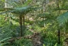 38 Seib Road, Eumundi, Qld 4562-Image