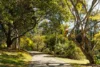 38 Stratford Street, Moggill, Qld 4070-Image