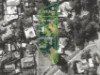 38 Traylen Road, Kalamunda, WA 6076-Image