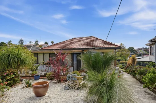 38 Trevor Ave, Lake Heights, NSW 2502