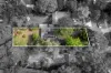38 Wellington Avenue, Blackburn, Vic 3130-Image