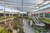38 Yandiah Place, Castle Hill, NSW 2154-Image