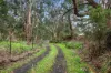 380 Great Ocean Road, Marengo, Vic 3233-Image