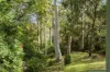 381 Coal Point Road, Coal Point, NSW 2283-Image