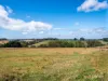 381 Myalla Road, Myalla, Tas 7325-Image