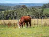 381 Myalla Road, Myalla, Tas 7325-Image